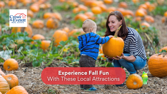 Looking for fun things to do this fall? Bring the whole family to these South Bend attractions.